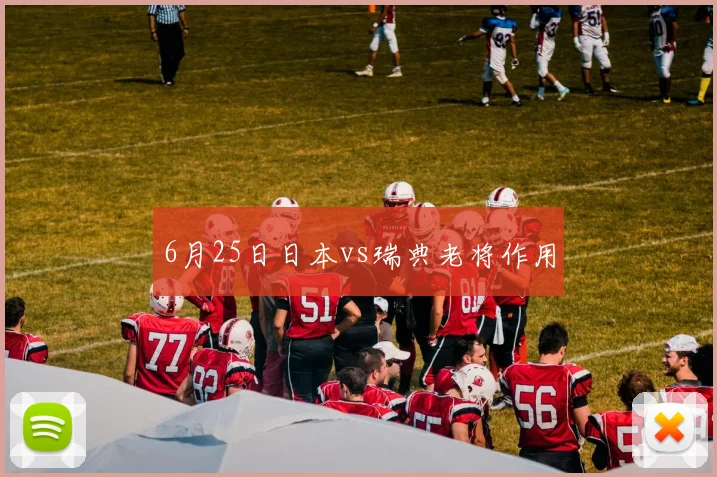 6月25日日本vs瑞典老将作用