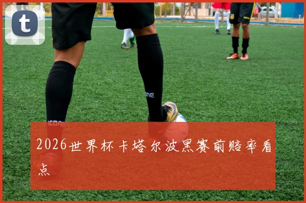 2026世界杯卡塔尔波黑赛前赔率看点